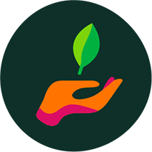 Icon of hand holding leaf
